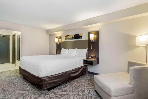 Comfort Inn & Suites Auburn- Pacific - Hotel - Auburn