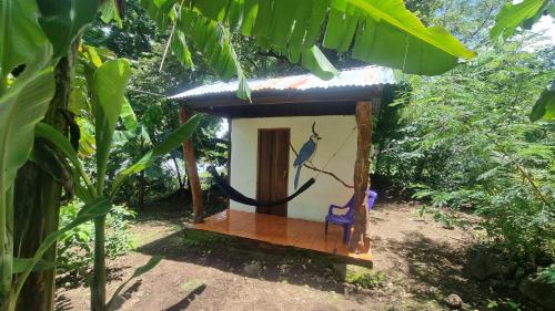 Hostal La Gloria in 梅里达