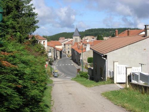Gîte Le Bessat 4 pièces 6 personnes - FR-1-496-24 - image 9
