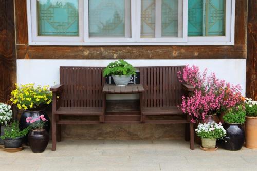 Damyang Flower & Hanok