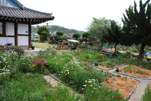 Damyang Flower & Hanok