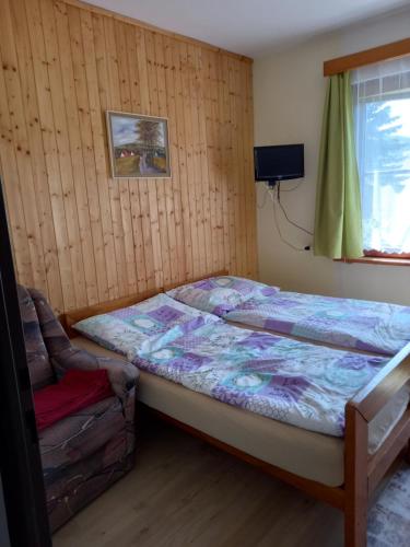 Apartmán na Polesí - Apartment - Deštné V Orlickych Horách