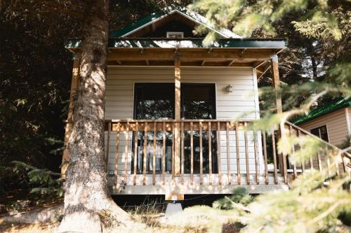 Cabin 3 Lynn View Lodge Haines