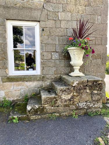 Bird In Bush Elsdon