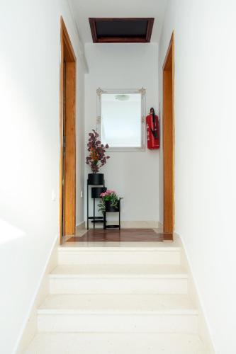 Apartments Azzurro