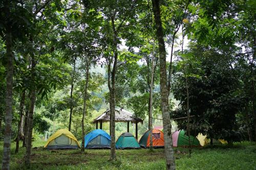 Batu Kapal Lodge