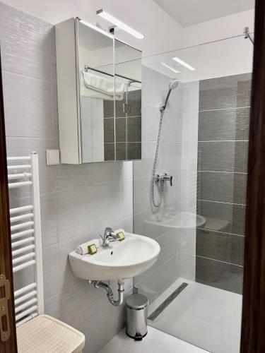 Hotel Foldana - image 13