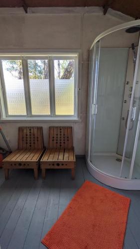 Shower, Trammi Maja in Kivi