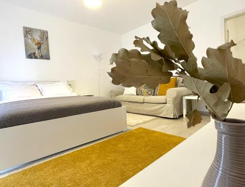 Bartolomeu Serenity Studio Bartolomeu Serenity Studio