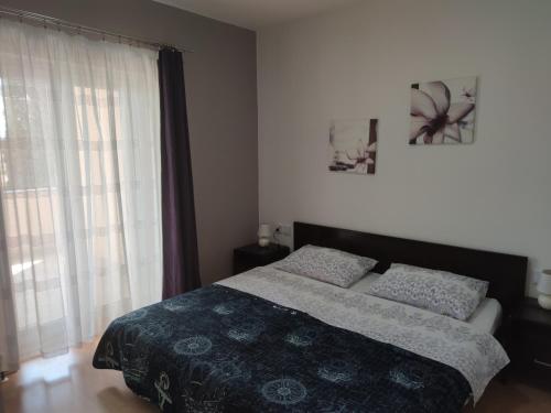 Apartments Dijana - image 10