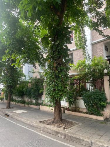 Viriyapon, Bangkok