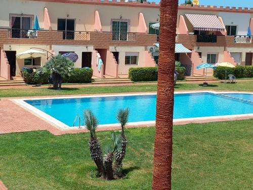 Palmier sidi Bouzid in Sidi Bouzid