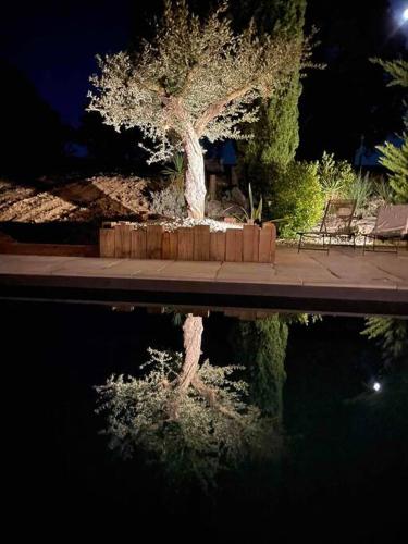 Magnifique maison en pierre avec piscine