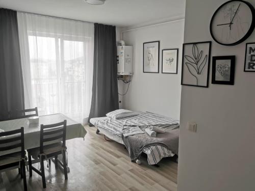 New Apartament Baia Mare 35