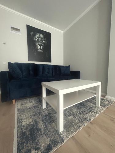 Apartamente Cluj