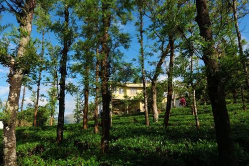 The Forest Resort - Muneeswaramudi Eco Hermitage and Farms in Thavinhal