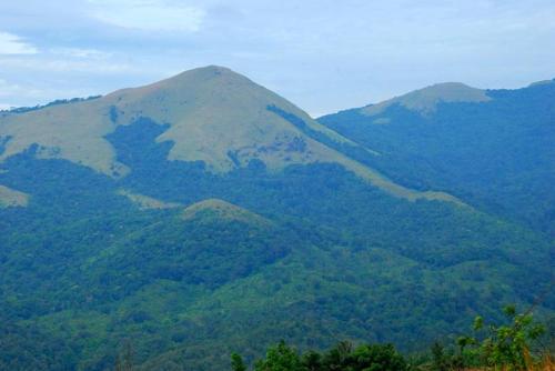 The Forest Resort - Muneeswaramudi Eco Hermitage and Farms in Thavinhal