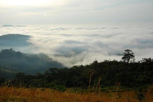 The Forest Resort - Muneeswaramudi Eco Hermitage and Farms in Thavinhal