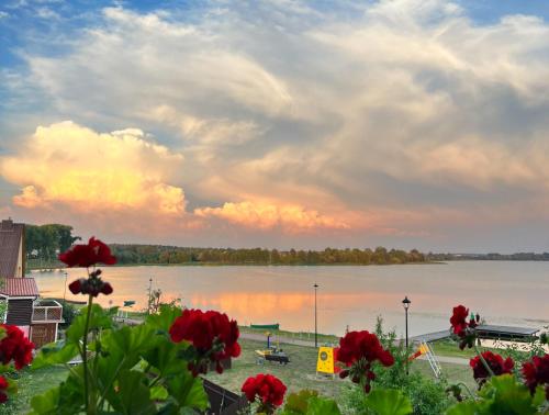 . Lakeview Retreat in Vievis