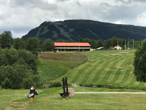 Ljusnedal lägenhet med golf, paddel, fiske och skidåkning