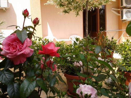 Hotel Chuchulev - image 13