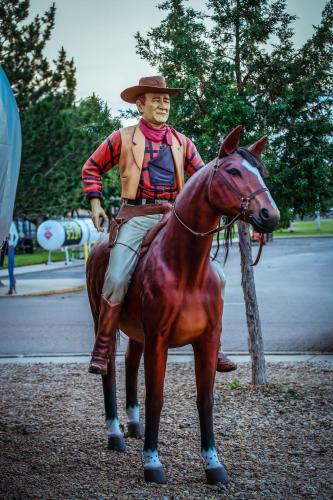 Big Texan Wagons