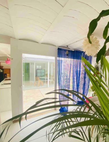 DUPLEX-LOFT en Granada, Granada (fotografie 6)