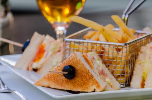 Olissippo Marques de Sa - image 12