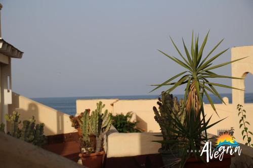 Captivating 2-Bed Beachside Apartment in Mojacar