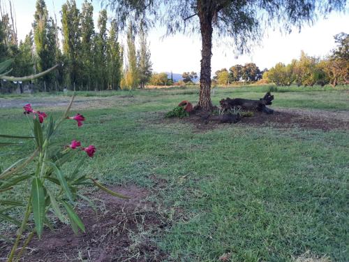 Finca La Chiqueta in 비야 헤네랄 산 마르틴