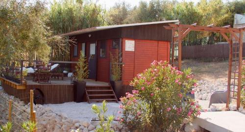 Quinta do Benjamim - Tejo - image 13