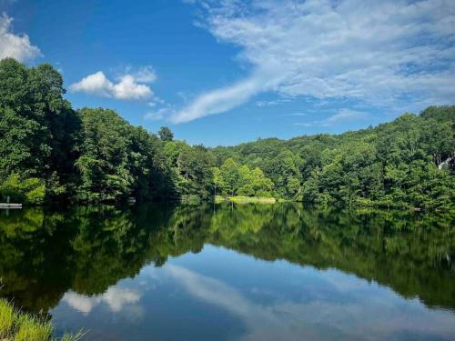 Casa Bohemia *pool *fishing*mountain views! in Ellijay, USA