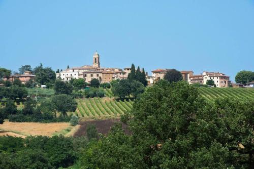 La collina degli Olivi