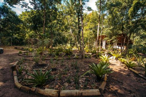 Cabana na árvore na Bahia! Para viver uma experiência de hospedagem pertinho da praia