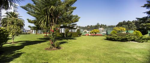 Nuevo Astur SPA - image 7