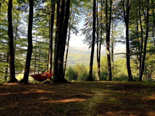 Cabana Cheia Fericirii - Forest Family Retreat – khách sạn tại Cheia