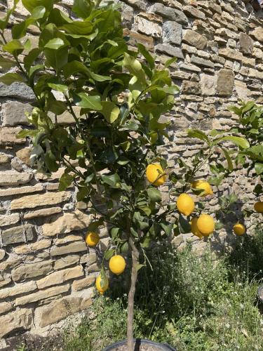 Foresteria Antica Bastia B&B, Bergamo (photo 9)