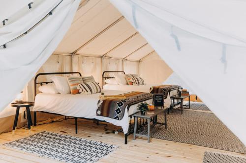 Timberline Glamping at Amicalola Falls in Dawsonville, USA