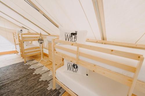 Timberline Glamping at Amicalola Falls in Dawsonville, USA