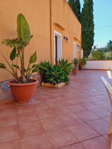 B&B 라 미모사 - 정원