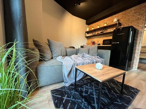 . Mickitos Apartments - Mavrovo