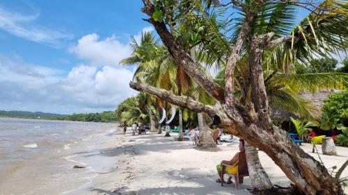 9 amazing Rio Dulce Hostels and River Lodges