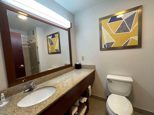 Comfort Suites Jackson - Cape Girardeau - image 14