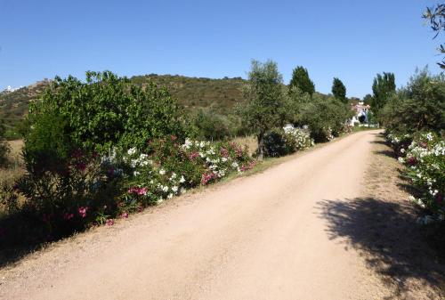 Monte do Laranjal - image 2