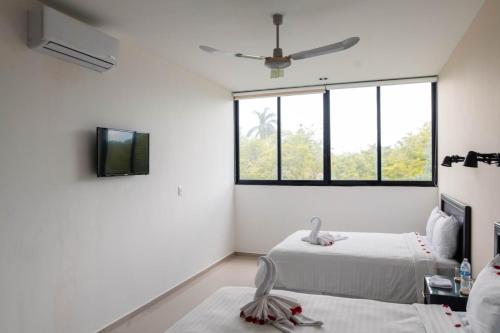Family Suite image 2