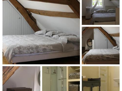 Gîte Langon-sur-Cher 2 pièces 4 personnes - FR-1-491-230 - image 2