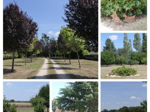 Gîte Langon-sur-Cher 2 pièces 4 personnes - FR-1-491-230 - image 7