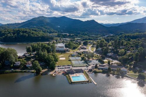Graceful Swan Retreat in Lake Junaluska, USA