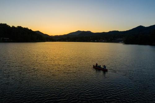 Graceful Swan Retreat in Lake Junaluska, USA