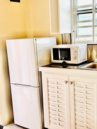 Jealous Mountain Bed-Sit in Morne Jaloux Ridge